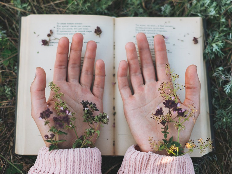 Poetry Friday ~ Whatever It Takes — The Writer Next Door | Vashti Q